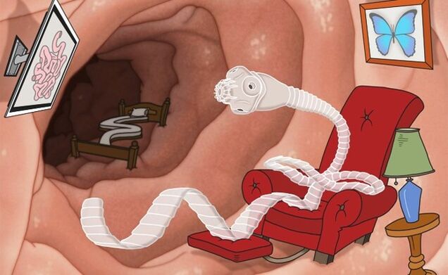 Parasiten im Körper